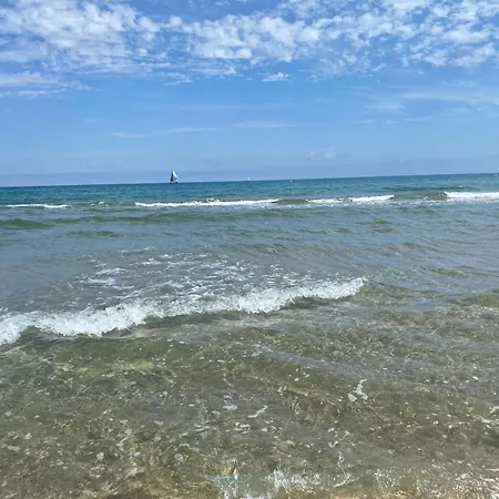 Follies With Ocean Views