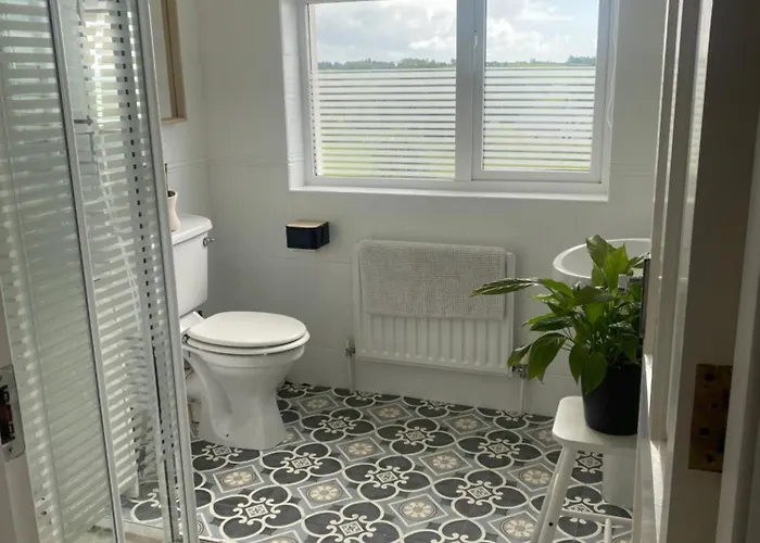 Follies With Ocean Views