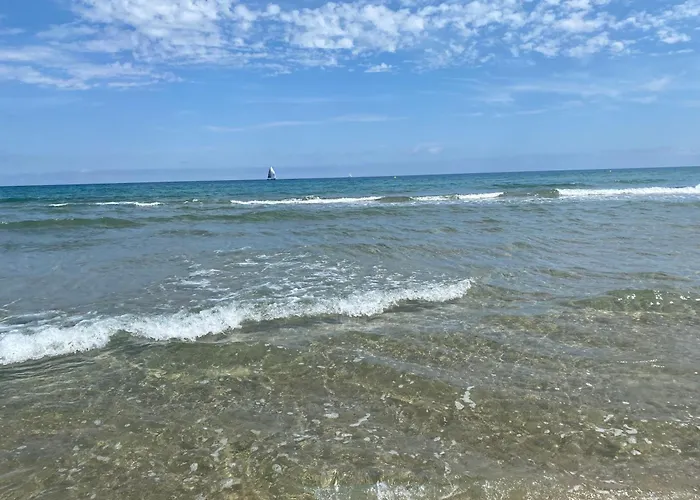 Follies With Ocean Views